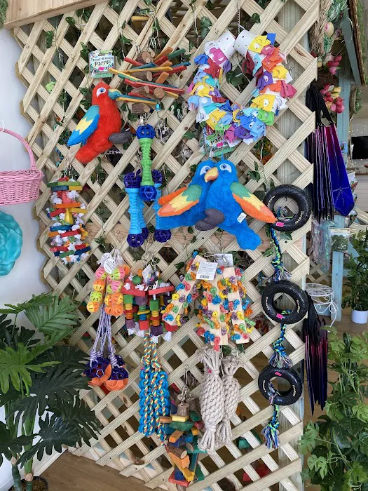 Bird Boutique Picture 8