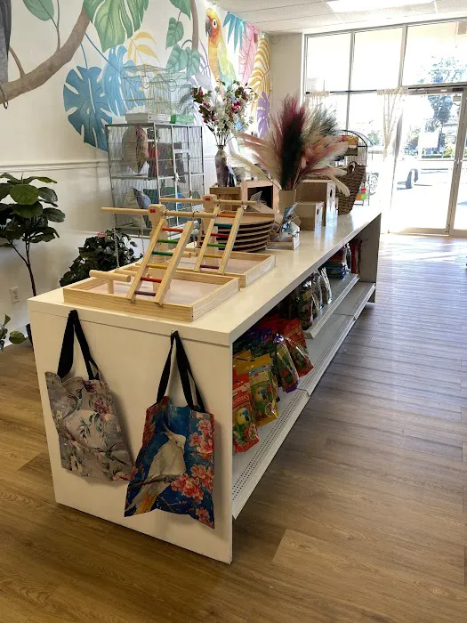 Bird Boutique Picture 7