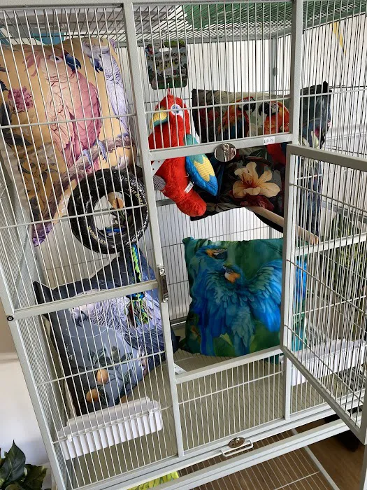 Bird Boutique Picture 6