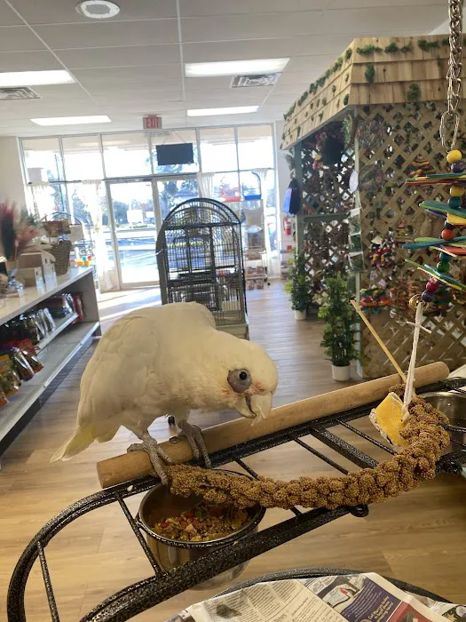 Bird Boutique Picture 2