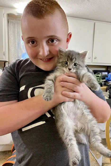 Wurtsboro Veterinary Clinic Picture 2