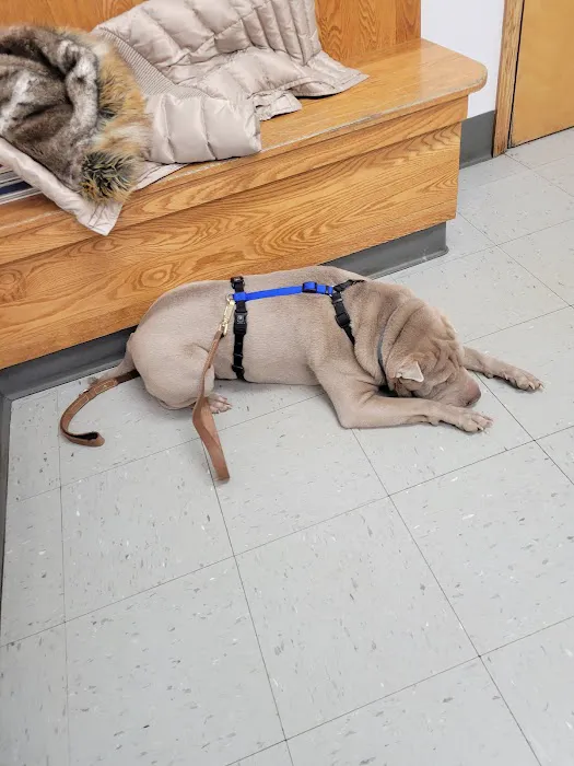 Wurtsboro Veterinary Clinic Picture 3