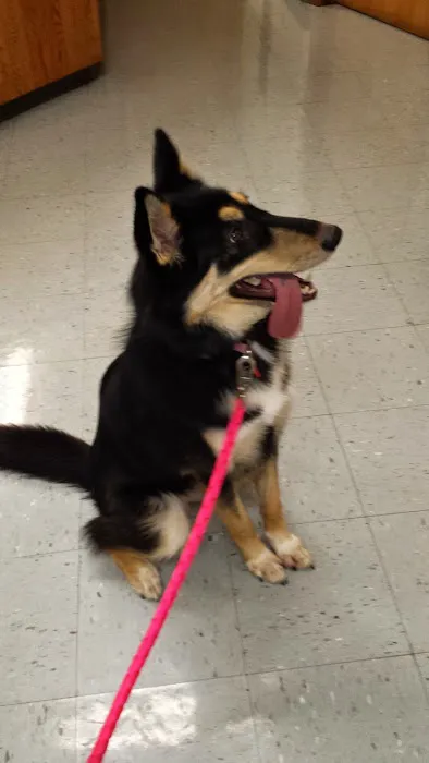 Wurtsboro Veterinary Clinic Picture 5