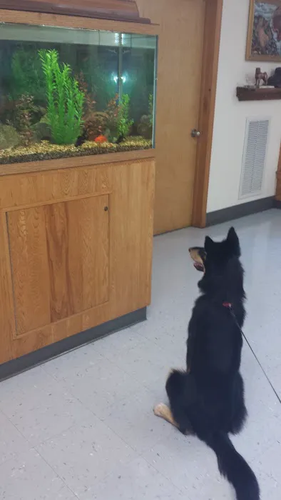 Wurtsboro Veterinary Clinic Picture 9