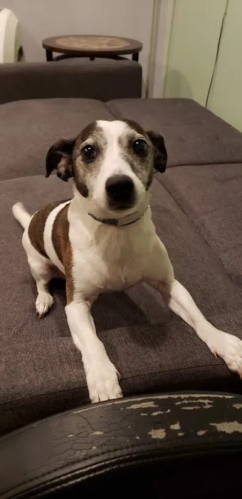 Wurtsboro Veterinary Clinic Picture 8