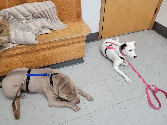 Wurtsboro Veterinary Clinic Picture 4