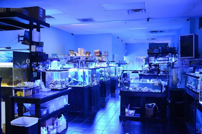 Bluewater Reef Aquatics, Inc. Picture 1