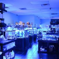 Bluewater Reef Aquatics, Inc. ico