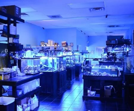 Bluewater Reef Aquatics, Inc.