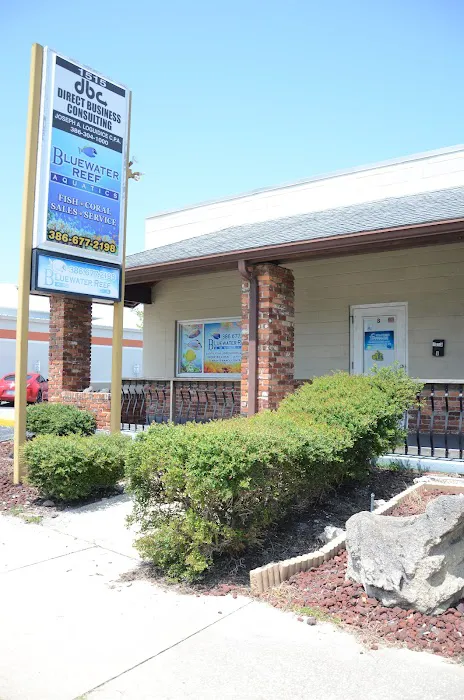 Bluewater Reef Aquatics, Inc. Picture 2