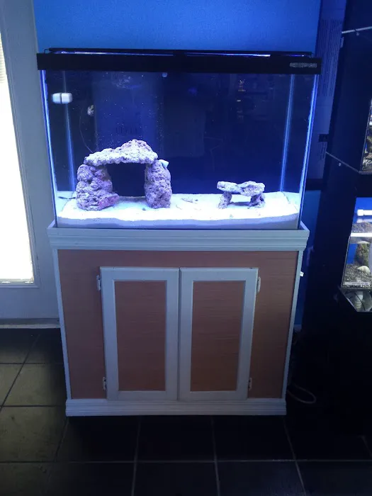 Bluewater Reef Aquatics, Inc. Picture 8