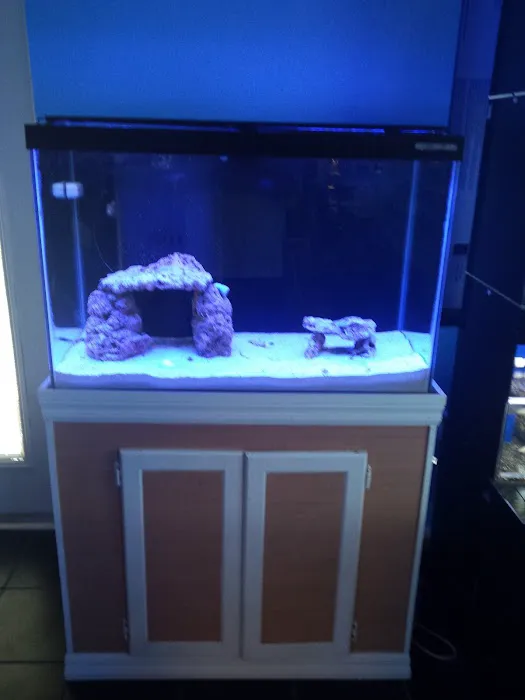 Bluewater Reef Aquatics, Inc. Picture 7