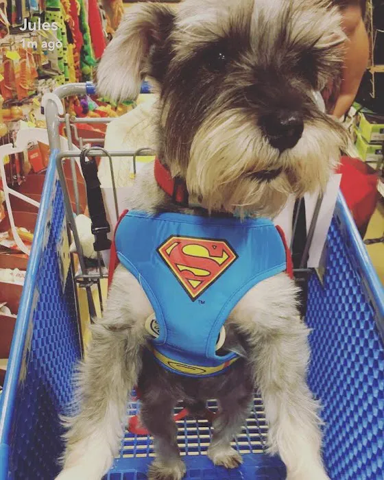 Eitan Houri DVM housecall veterinary services Picture 3