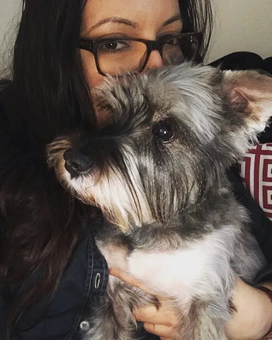 Eitan Houri DVM housecall veterinary services Picture 4