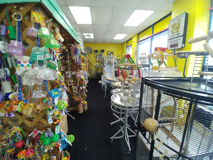 Amazon Jungle Exotic Pets & Resource Center Picture 1