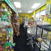 Amazon Jungle Exotic Pets & Resource Center ico