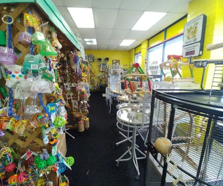 Amazon Jungle Exotic Pets & Resource Center