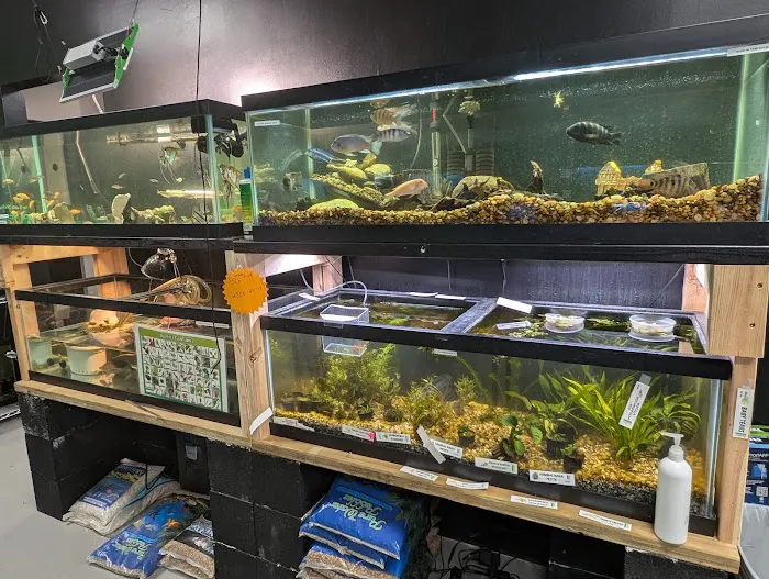 Amazon Jungle Exotic Pets & Resource Center Picture 7
