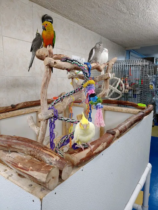 Amazon Jungle Exotic Pets & Resource Center Picture 6