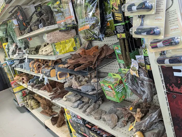 Amazon Jungle Exotic Pets & Resource Center Picture 5