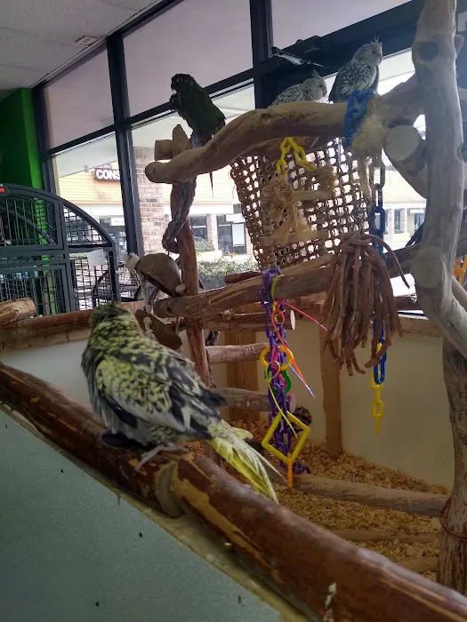 Amazon Jungle Exotic Pets & Resource Center Picture 4