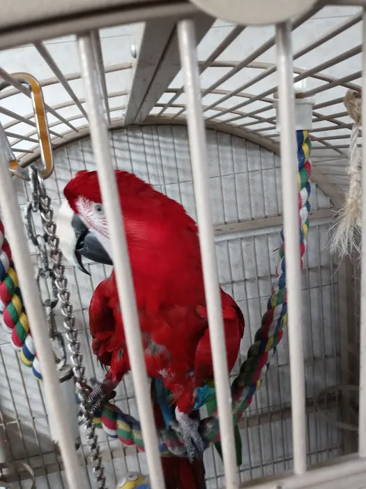 Amazon Jungle Exotic Pets & Resource Center Picture 2