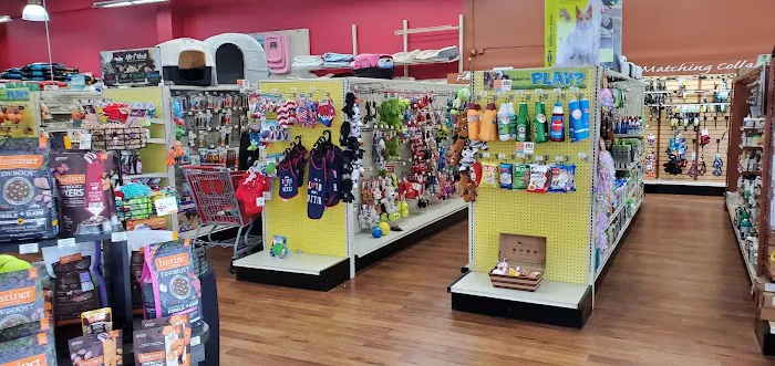 Pet Supermarket Picture 2