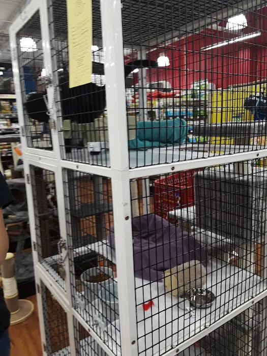 Pet Supermarket Picture 8