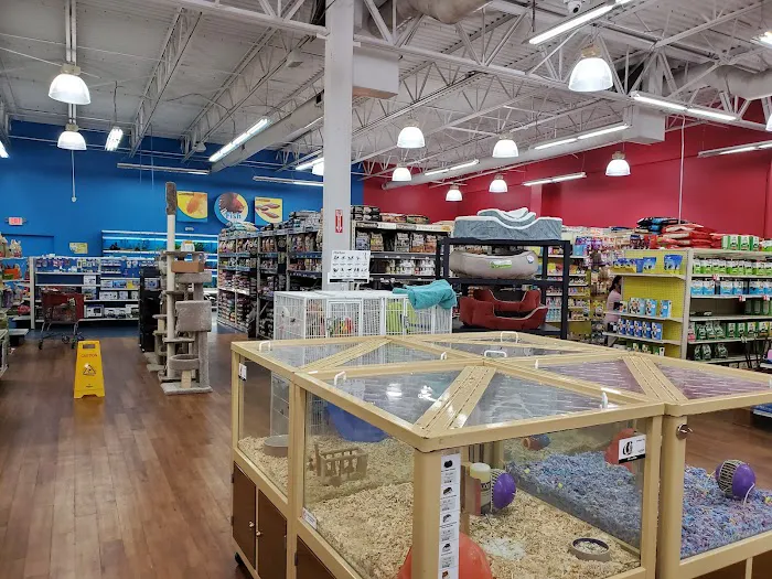 Pet Supermarket Picture 7