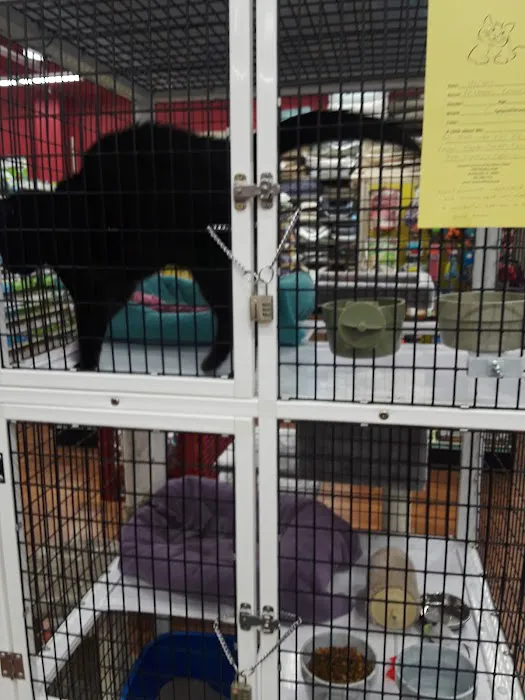 Pet Supermarket Picture 6