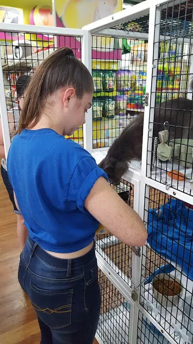 Pet Supermarket Picture 1
