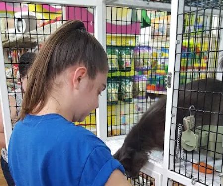 Pet Supermarket
