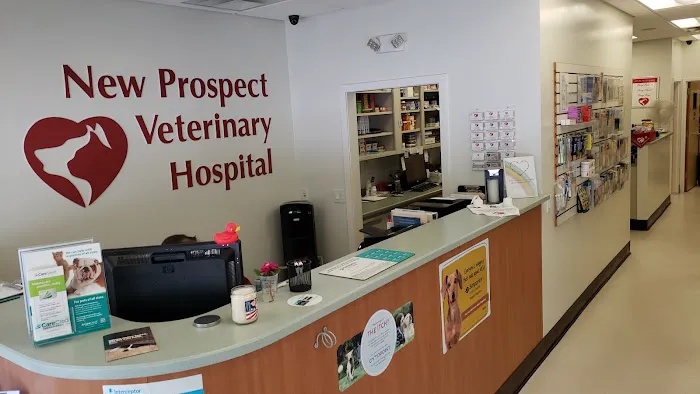 VCA New Prospect Animal Hospital Picture 4