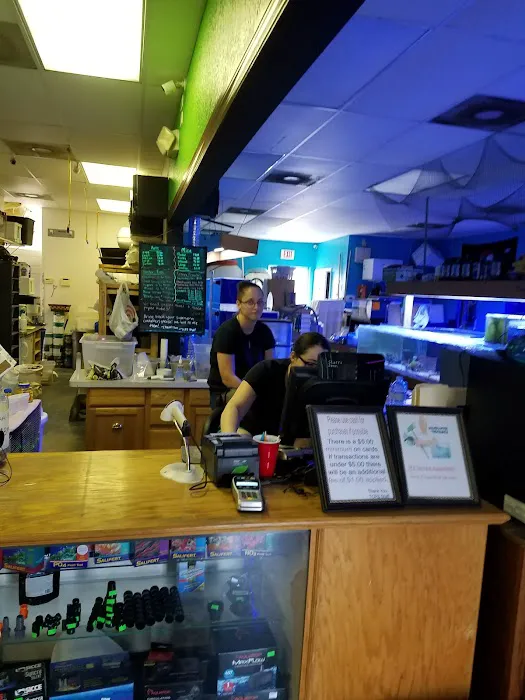 Treasure Cove Pet shop Picture 9