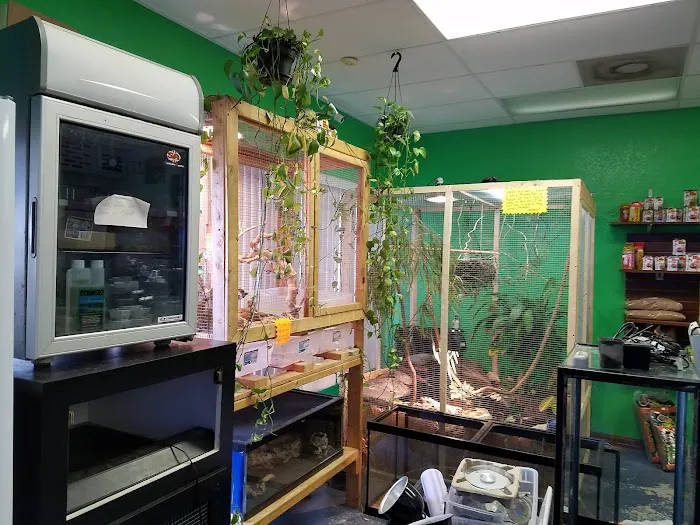 Treasure Cove Pet shop Picture 7