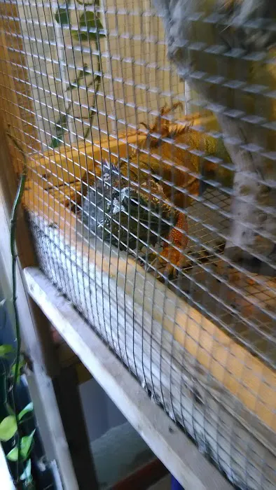 Treasure Cove Pet shop Picture 4