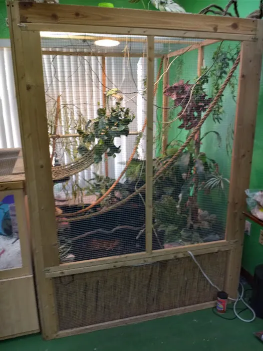 Treasure Cove Pet shop Picture 5