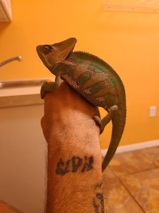 Treasure Cove Pet shop Picture 8