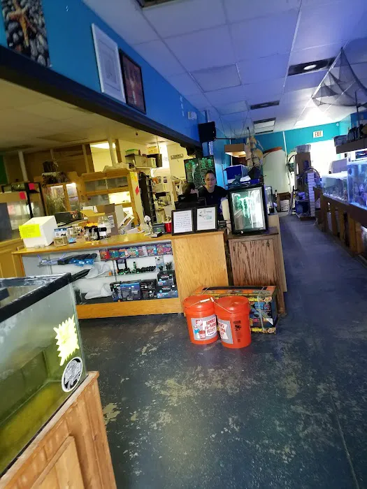 Treasure Cove Pet shop Picture 1