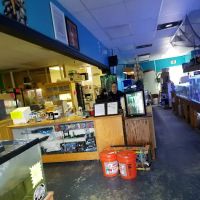 Treasure Cove Pet shop ico