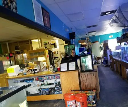 Treasure Cove Pet shop