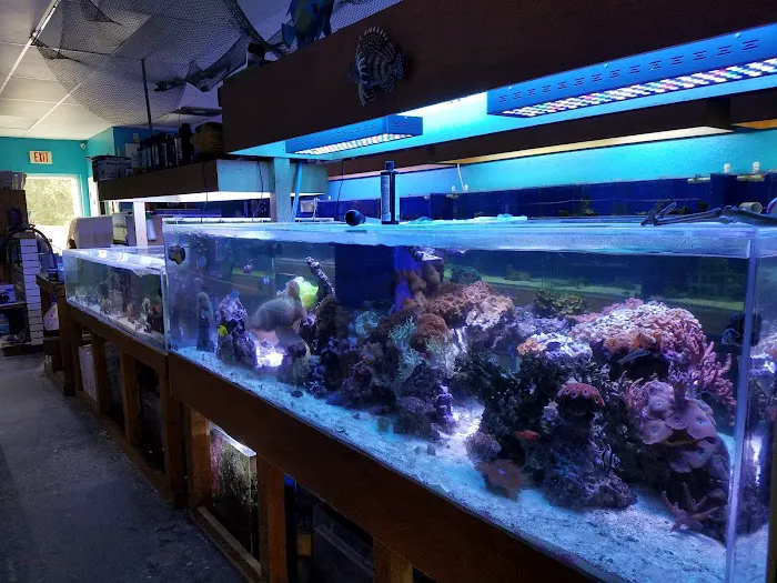 Treasure Cove Pet shop Picture 10