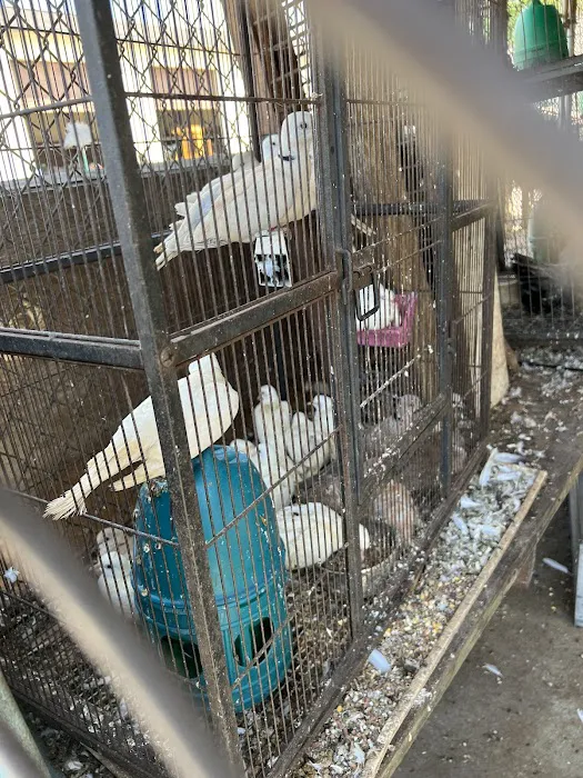 Shady Hills Pet Shop Picture 1