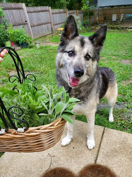 County Line Veterinary Hospital Picture 7
