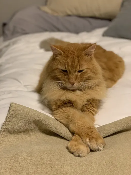 County Line Veterinary Hospital Picture 10