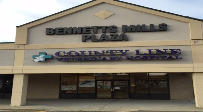 County Line Veterinary Hospital Picture 4