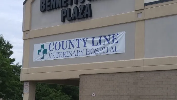 County Line Veterinary Hospital Picture 5