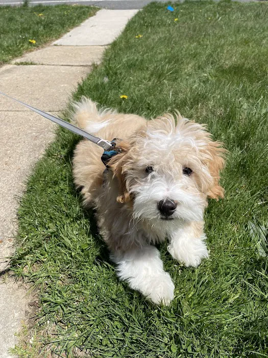 County Line Veterinary Hospital Picture 2