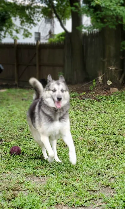 County Line Veterinary Hospital Picture 6