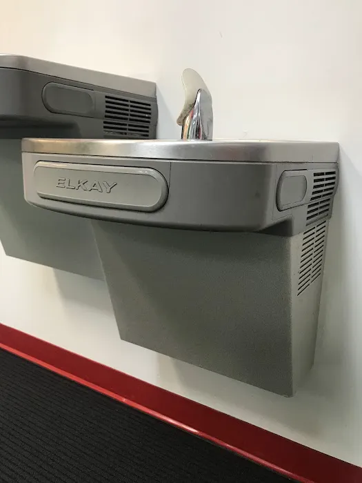 Contented Puppies Paradise Picture 1